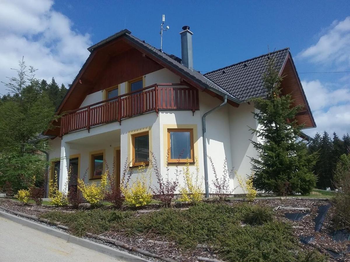 Villapark Lipno Dreams - Pet Friendly Lipno nad Vltavou Εξωτερικό φωτογραφία